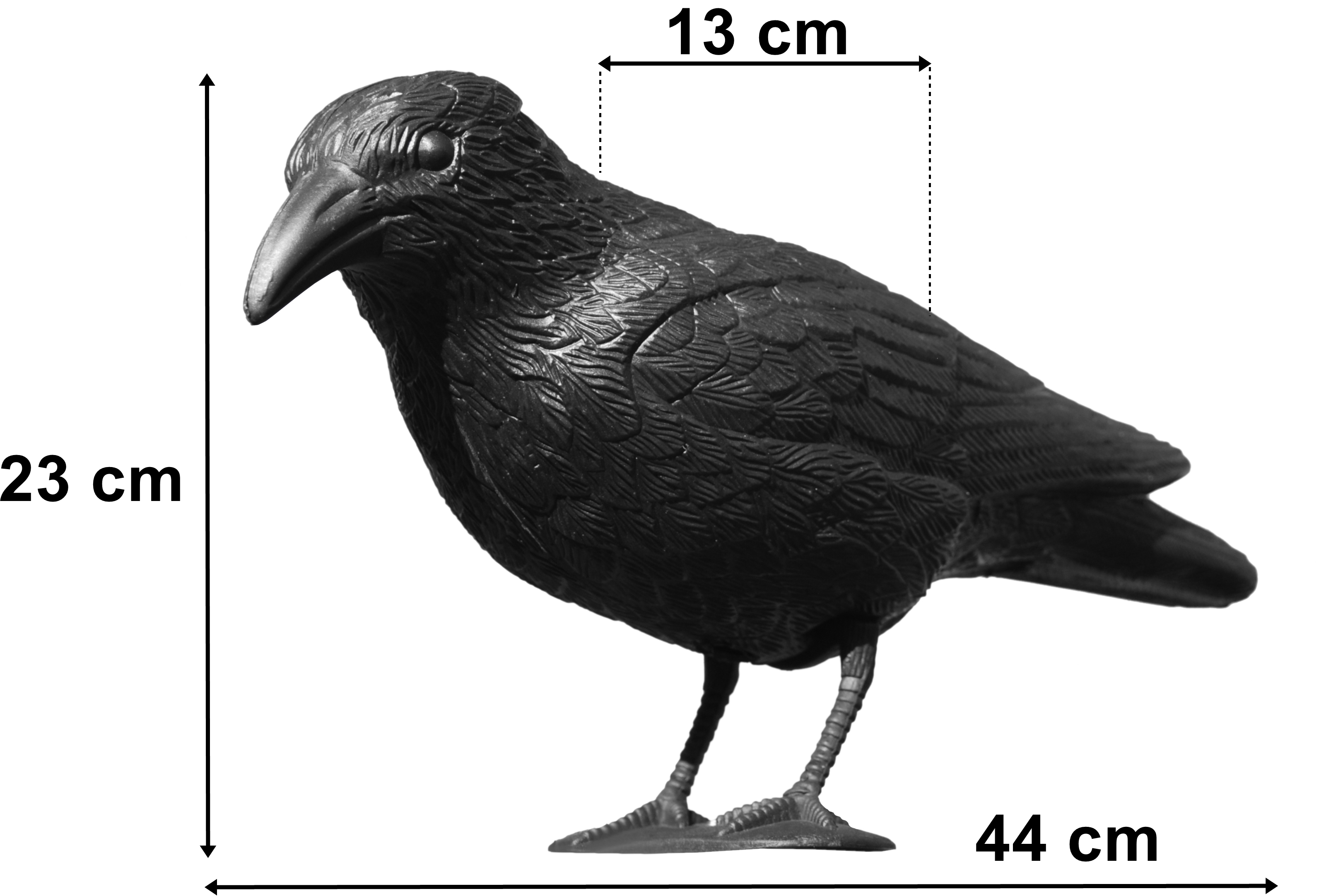 Kruk odstraszacz gołębi i innych ptaków średni