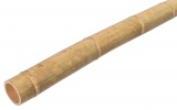 Tyczka  bambusowa MOSO 100 cm 9-10 cm