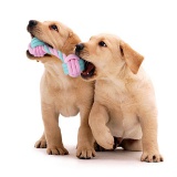 Zestaw 7 zabawek szarpaków dla psa PINKY