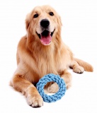 Zestaw szarpaków dla psa BALTO 10 elementów niebieski