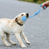 Zestaw szarpaków dla psa BALTO 10 elementów niebieski